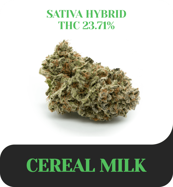 Cereal Milk