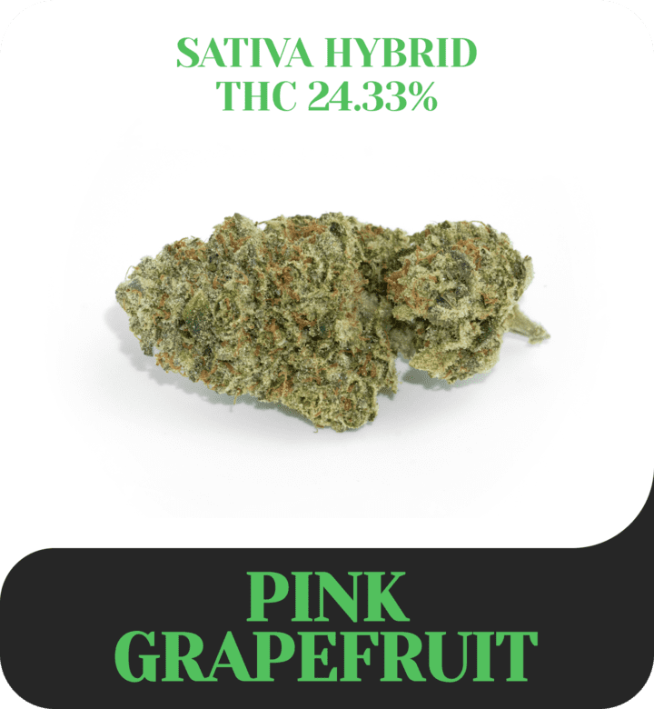 Pink Grapefruit