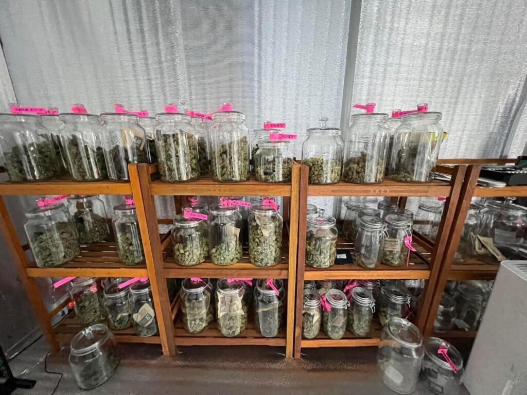 Exploring Medical Marijuana Options in Bangkok in 2024