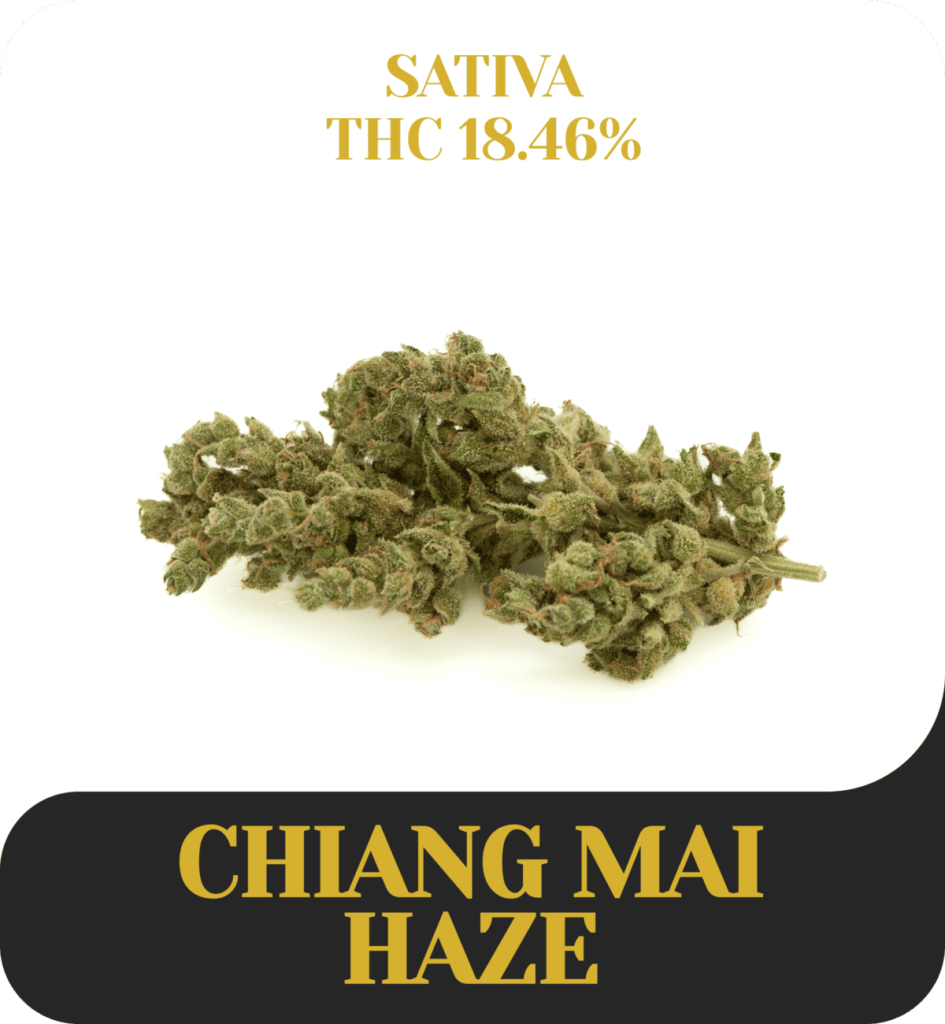 Chiang Mai Haze