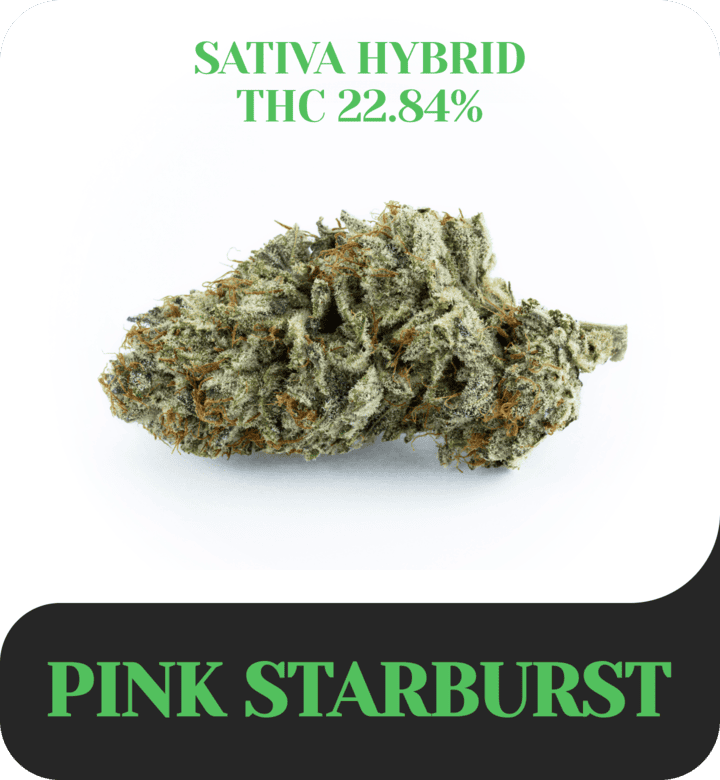 Pink starburst