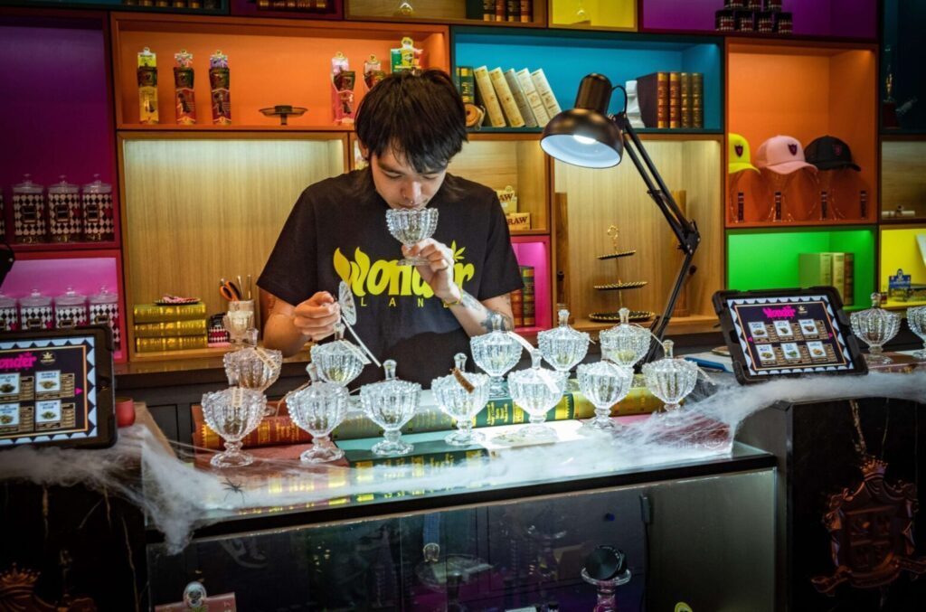 Top Tips for Opening a Bangkok Cannabis Store in 2024