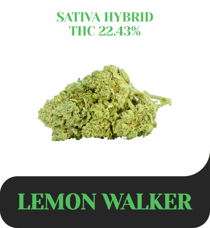 Lemon Walker OG