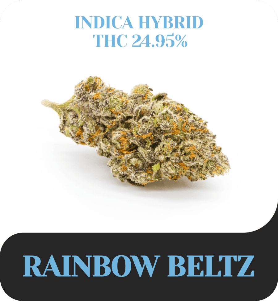 Rainbow Beltz