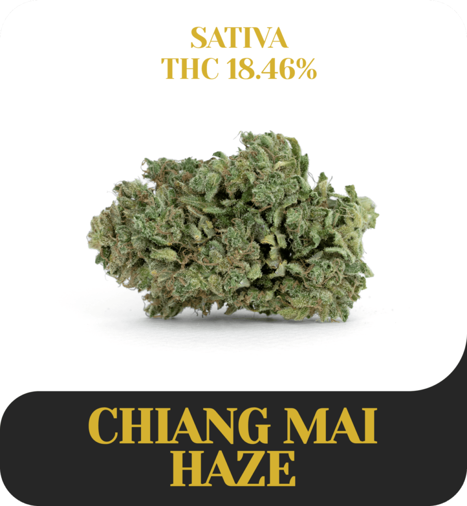 Chiang mai haze
