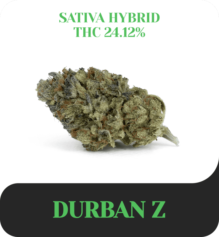 Durban Z