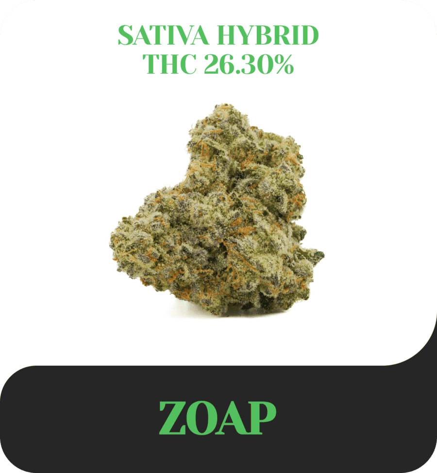Zoap