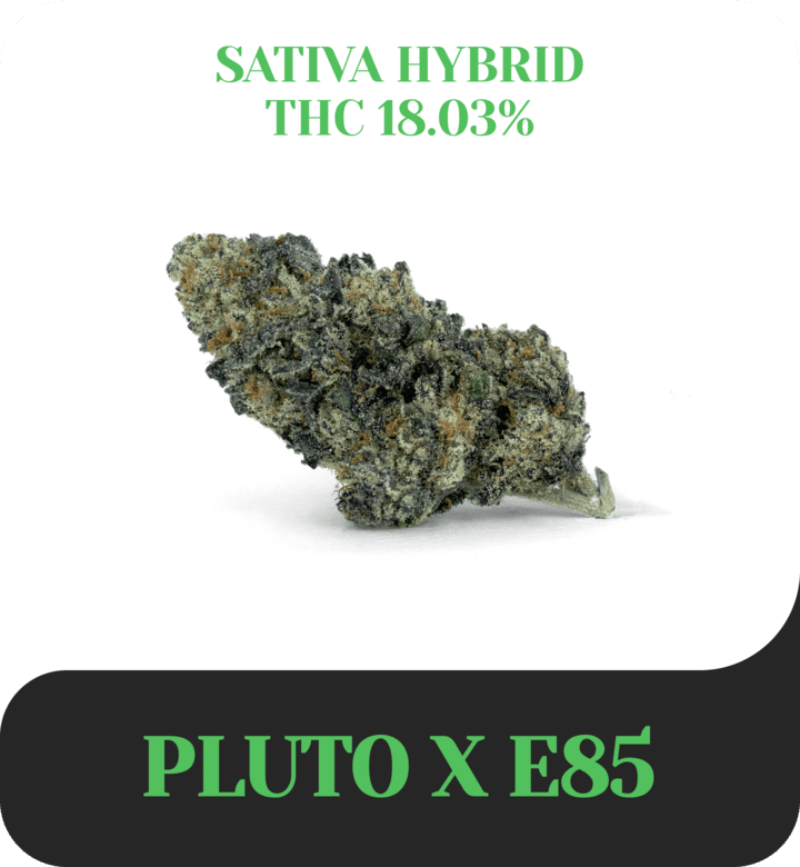 Pluto x E85