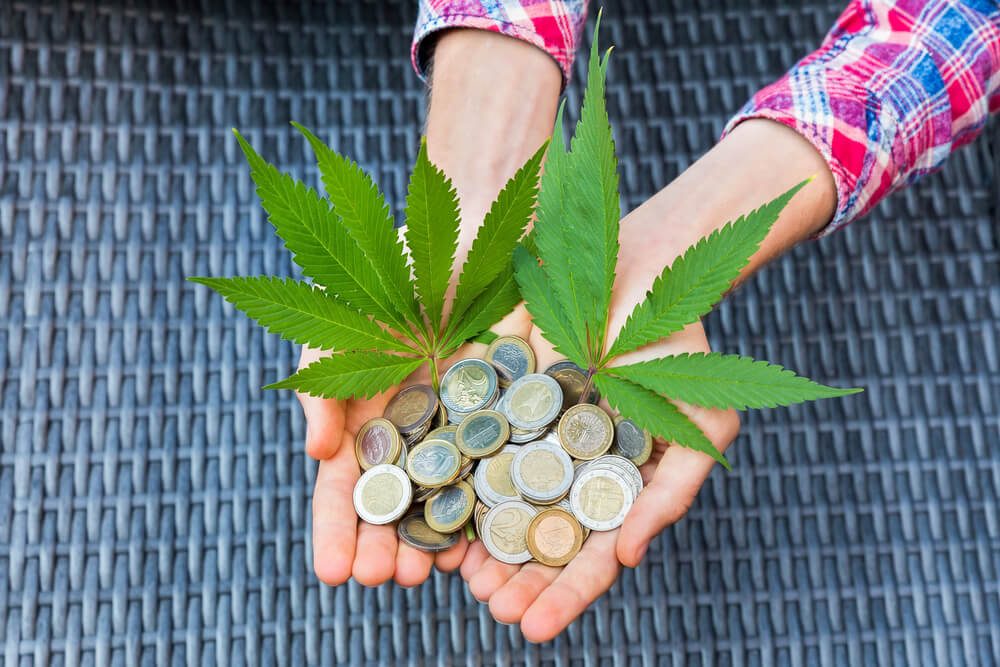 Weed Cost In Bangkok