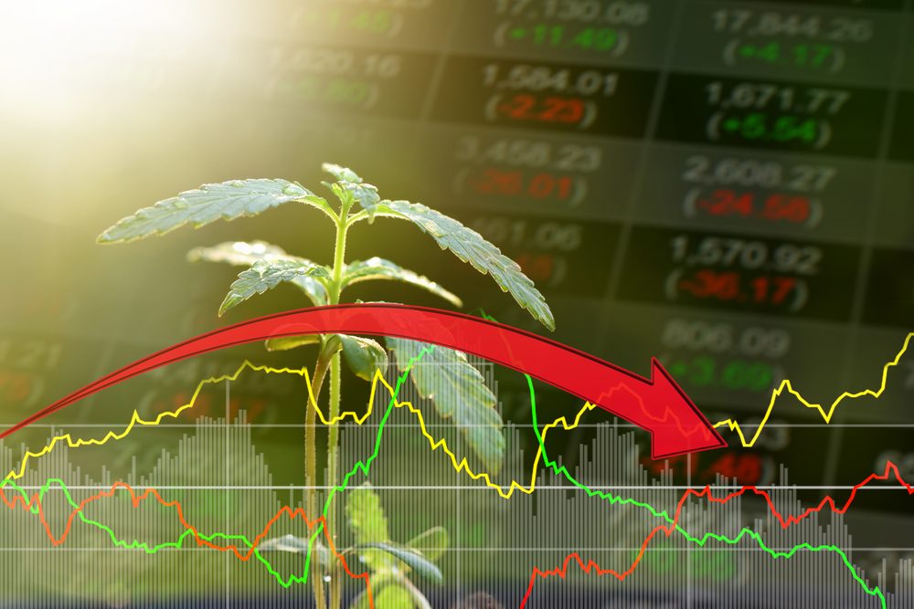 Bangkok Weed Prices