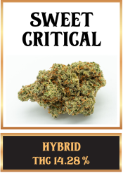 SWEET CRITICAL