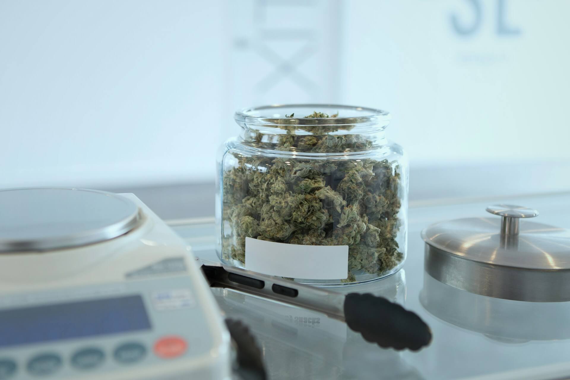 How to Store Cannabis in Thailand: Protecting Quality in Bangkok’s Climate
